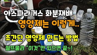 아스파라거스 페트병으로 영양제 주는법 초간단 영양제 만드는 방법 살뜨물과 이것만 있으면 간단합니다.