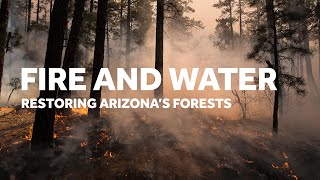 Fire and Water: Restoring Arizona's Forests | Documentary