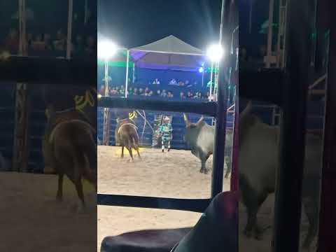 rodeio em touro de tarabai, SP. #show #festa #dança