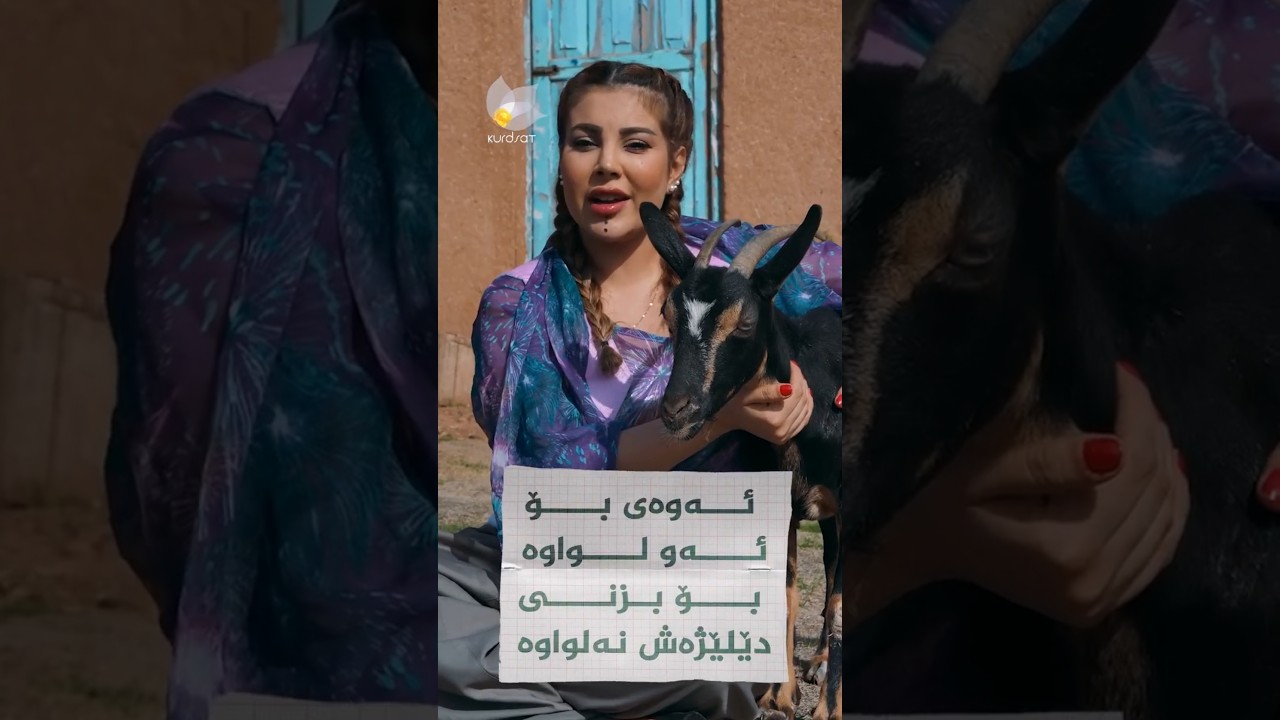 ڤیدیۆ | پەندێکی کوردیمان هەیە دەڵێت: ئەوەی بۆ تۆ لواوە، بۆ بزنی دێلێژەش نەلواوە