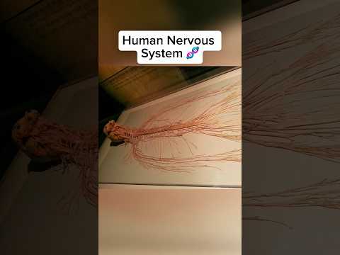 Photos You Need To See Before You Die 🤯