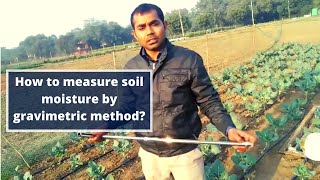 How to measure soil moisture  by gravimetric method?
