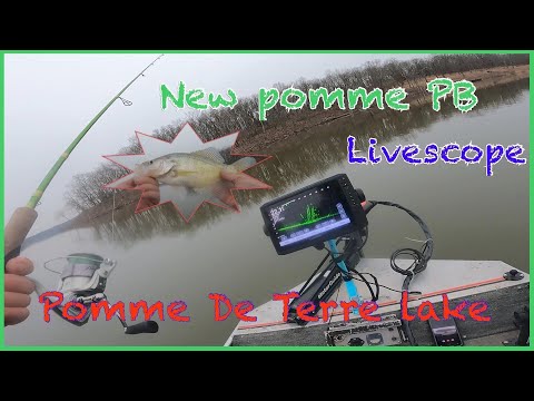 Livescope winter time crappie Pomme De Terre 1-24-23