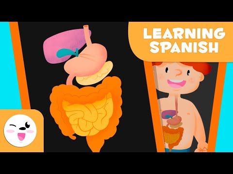 Video for kids to learn digestive system in Spanish #LearnSpanish