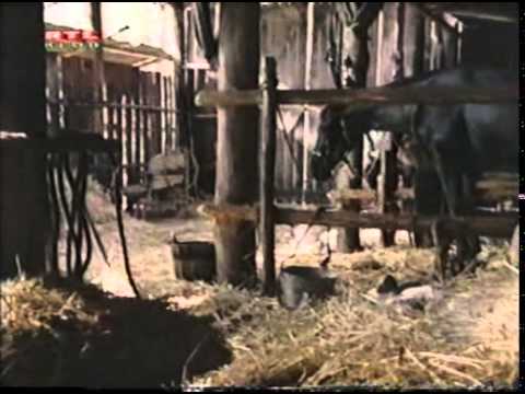 Az Ausztral Expressz 8. - Annie