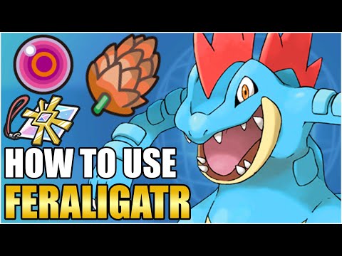 Click to play Video