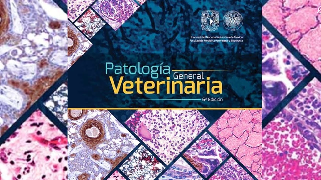 Patología Veterinaria 6ta edición| Capitulo 1 (audiolibro)