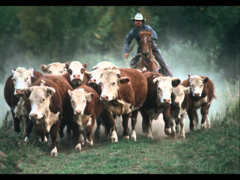 The Cattle Call by Eddy Arnold