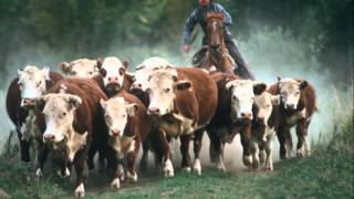 The Cattle Call by Eddy Arnold