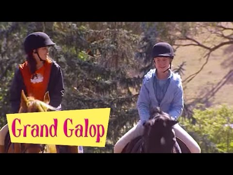 Grand Galop 219 - Un pensionnaire remuant (Partie 1) | HD | Épisode Complet