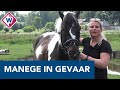 Manege in gevaar door geschil met gemeente - OMROEP WEST