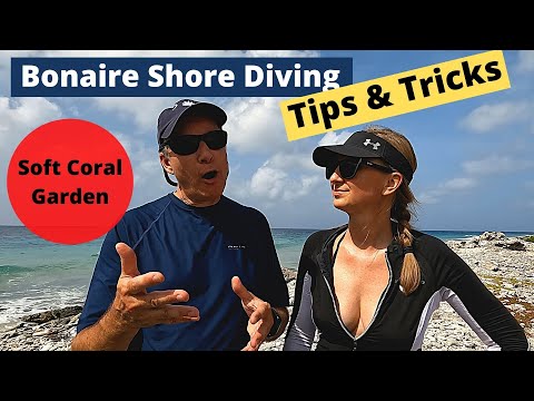 Bonaire Shore Diving Tips & Tricks - Soft Coral Garden!