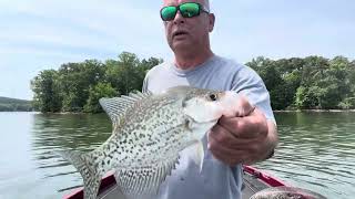 Loading Up on Brush - Crappie Fishing - High Rock Lake