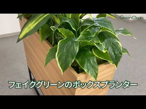 GR2280 BOXプランター | ナチュラル 商品