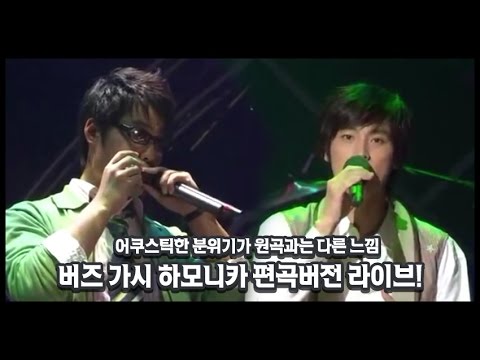 버즈 가시 하모니카 버전 편곡 라이브 무대! / 어쿠스틱한 분위기가 원곡과는 또다른 느낌!