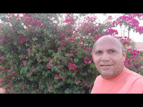 Treinamento foi na CE 261 Manibu CE Tibau RN um giro de 360 graus