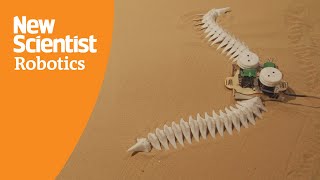 Prehension Blooms: Bioinspired robots interact with performers in new dance project