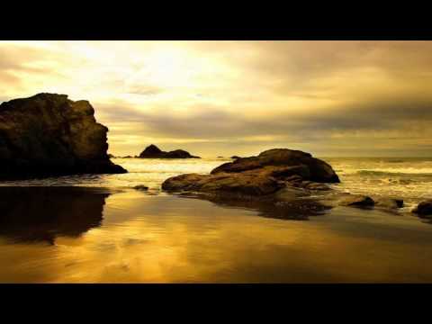 Synthetic Epiphany ft Veela - Tesseract