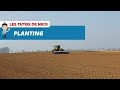 Video Planting