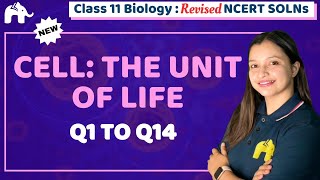 Cell: The Unit of Life Class 11 Biology | Revised NCERT Solutions | Chapter 8 Questions 1-14