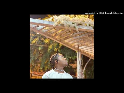 Ricardo Modizo - Ame Agora (Áudio Oficial)