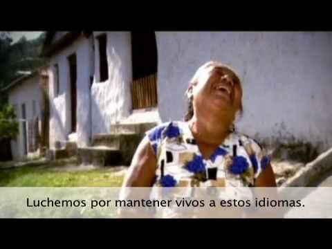 ¡Los idiomas sí que cuentan!