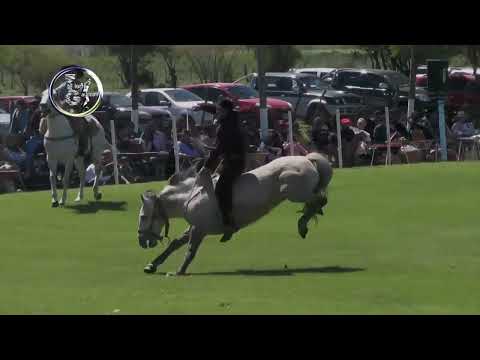 Villa Mantero 2025 - Ruedo Categ. Clina - Clasif. por C. del Uruguay e Ibicuy 28 / 9 / 2025