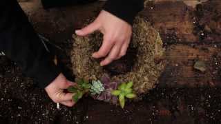 preview picture of video 'How to Create a Living Wreath With Succulents!'