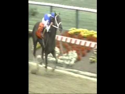129th Preakness Stakes May 15, 2004