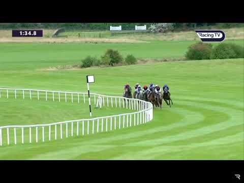 2019 - Irish Saint-Leger - SEARCH FOR A SONG