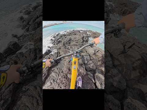 산악자전거 전용도로