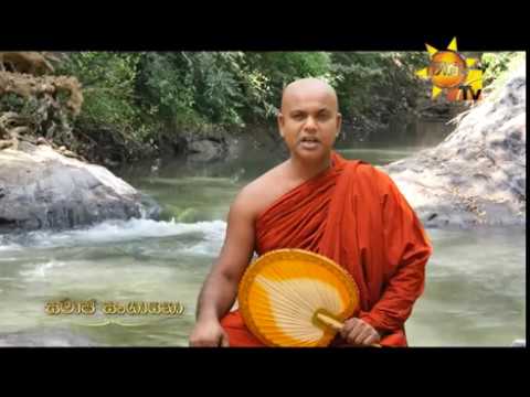 Hiru TV