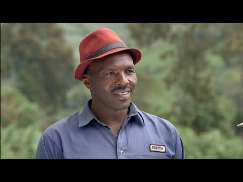 Shamba Shape Up Sn 5 - Ep 3: Viazi Power, Cows, Nutrition (English)