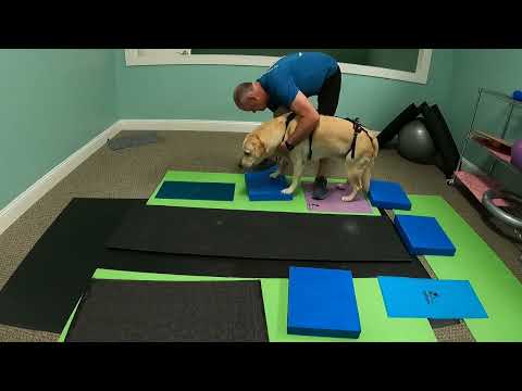 7-30-24 Moon Strength and Balance