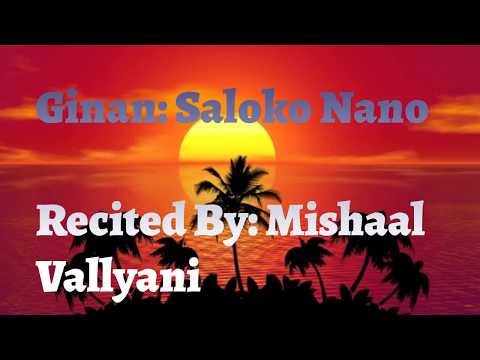 Saloko Nano (Satgur Kahay Rey) (Selected Verses) Part 1 - Mishaal Vallyani
