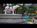 Walking in Makassar ( Indonesia )