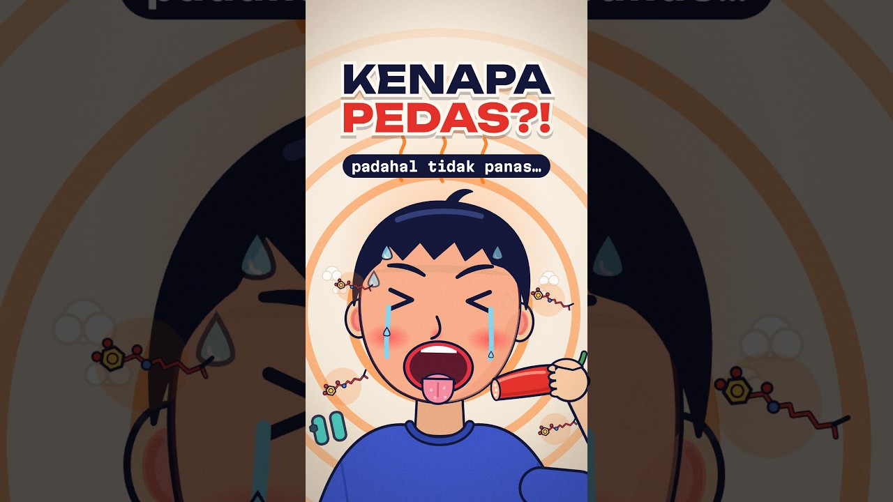 Kenapa Kita Kepedesan? (Jawabannya Bukan Suhu) #edukasi