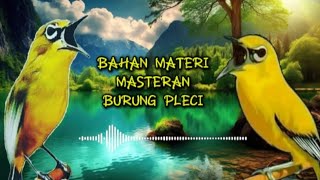 Download lagu Sahabat kicau, BAHAN MATERI MASTERAN BURUNG PLECI #sahabatkicau #kicaumania #masteran #pleci mp3