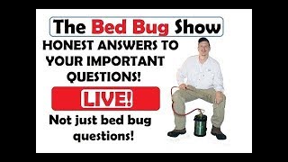 The Bed Bug Show - Live Friday night Show - ANTS!!!!!!