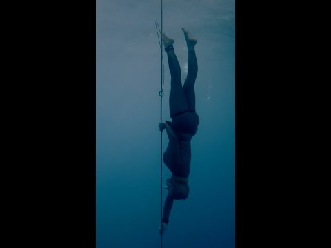 Free dive world record set at 354 feet