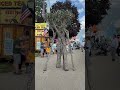 Walking tree at Walworth County Fair 2025