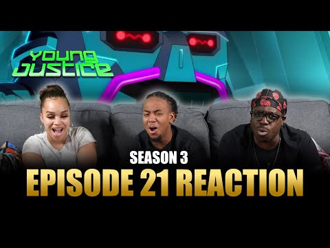 Unknown Factors | Young Justice S3 Ep 21 Reaction