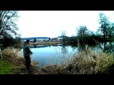 Blackforestrig zu Gast an der Donau bei Neudingen