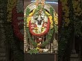 Shri Rangha Swamy Srirangam Ranganathan God Devi Shorts Sheshadri
