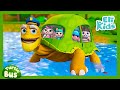 Turtle Bus Song 2 Fun Action Version Animal Vehicles Eli Kids Songs Nursery Rhymes