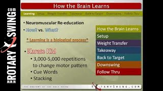Understanding How the Brain Learns Golf Skills