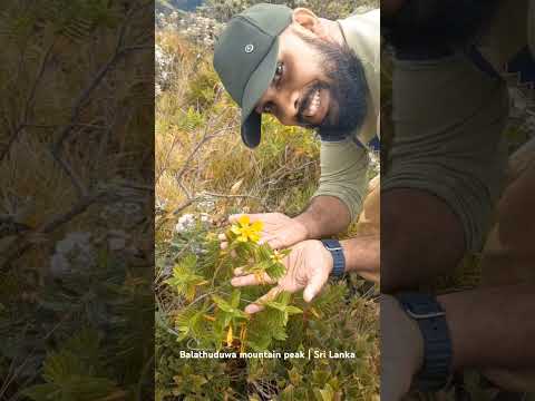 #balathuduwa  Where the earth meets the heaven  #visitsrilanka #mountains #nature #travel #srilanka