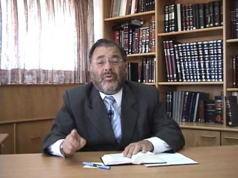 Parshat Shoftim - "Torah Lights"