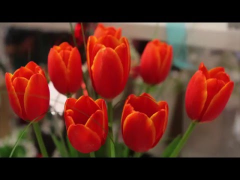 愛の表現: 花の意味