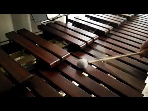 Inni di lode N°70: Il nostro nome è scritto Marimba Cover